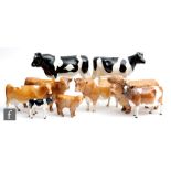 Nine assorted Beswick cattle comprising Fresian Co Ch. Claybury Leegwater model 1362A, Friesian Bull