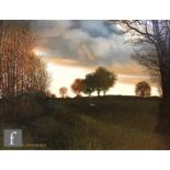 MICHAEL OXENHAM (BORN 1949) - A wooded landscape at sunset, oil on canvas, signed, signed verso,