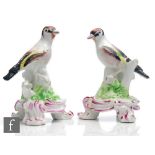 A pair of late 18th to early 19th Century models of finches perched on branches, possibly Bow,