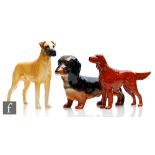 Three Beswick dogs comprising a Dachshund model 361, a Great Dane 'Ruler of Oubourgh' model 968