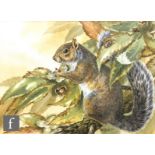 VALERIE BRIGGS (CONTEMPORARY) - A squirrel in a chestnut tree, watercolour, signed and dated 1987,