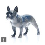 A Royal Copenhagen study of a standing French Bulldog, numbered 163 3128 to base, length 16cm.