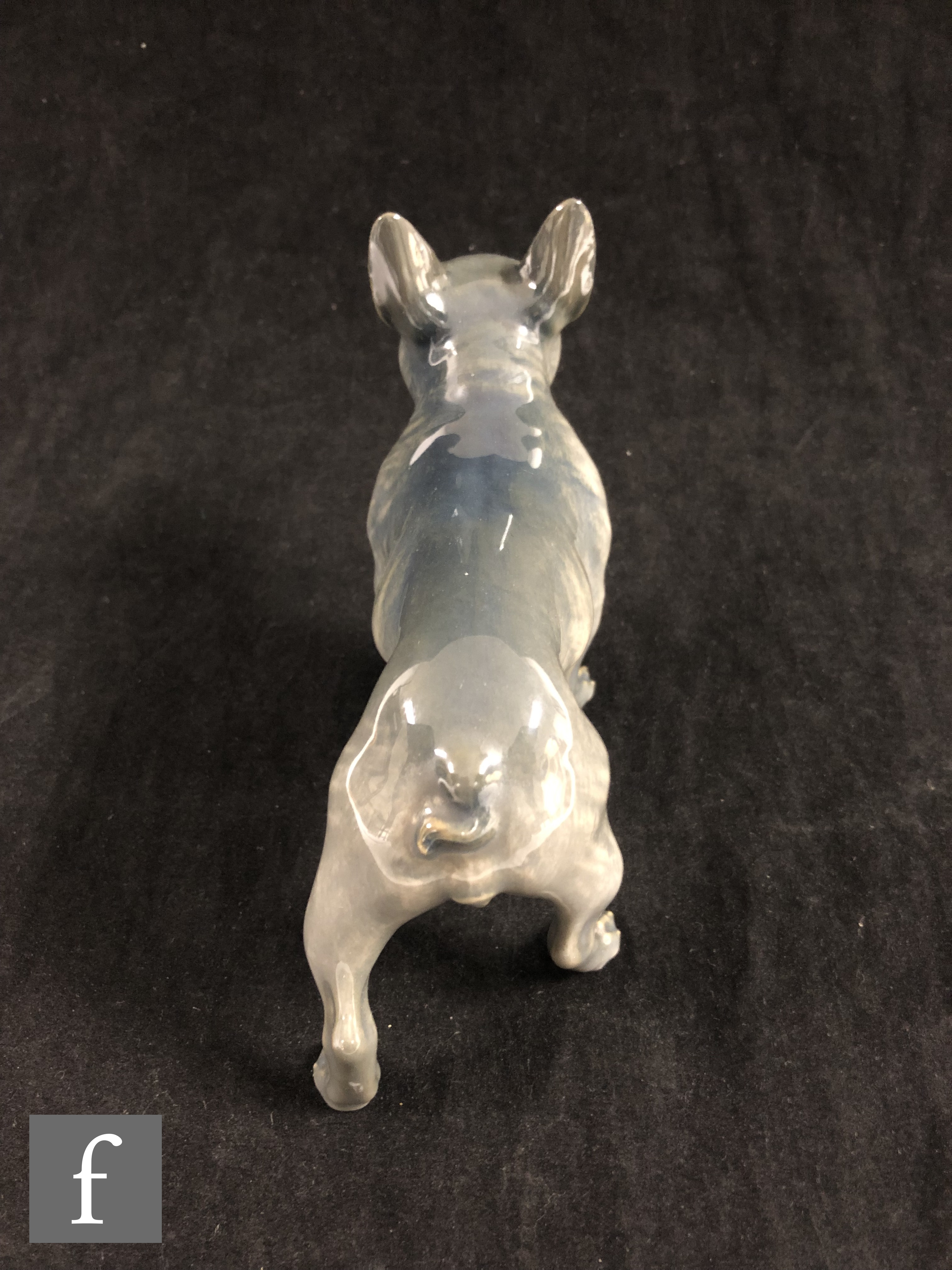 A Royal Copenhagen study of a standing French Bulldog, numbered 163 3128 to base, length 16cm. - Image 2 of 5