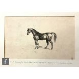 SIR FRANK SHORT, RA, PPRE (1857–1945) - Study of a horse, pen and ink drawing, signed with initials,