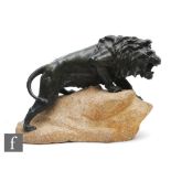 An early 20th century bronze study of a roaring male lion standing on a rock, unsigned, height