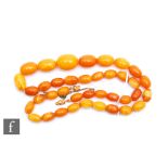 A single row of graduated butterscotch amber beads, largest bead length approximately 22mm, total