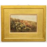 Andrew Nicholl, RHA (1804-1886) "Coltsfoot", watercolour,  landscape flora, approx. 23 x 34cms (9" x