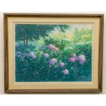 Brett McEntagart, RHA, b.1939 "Purple Hydrangea", oils on canvas, a large Garden View, approx. 61
