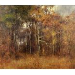 North American School, 20th Century "A Forest Landscape," O.O.C., approx. 55cms x 65cms (22" x 25