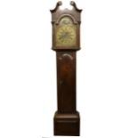 A Georgian period mahogany cased Irish Grandfather Clock, the swan neck hood with arched glazed