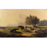 19th Century Dutch School "Cattle in a Landscape with Figures in Distance," O.O.C., approx. 56cms