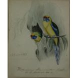 Heinrich Gottlieb Ludwig Reichenbach, German (1793-1879) Two original watercolours of Australian