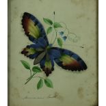 In the Manner of Sarah Biffin (1784 - 1850) An attractive watercolour Drawing of "Colourful Moth",