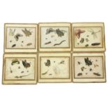 19th Century Chinese SchoolA set of 6 attractive and colourful Arthropod Drawings on rice paper,