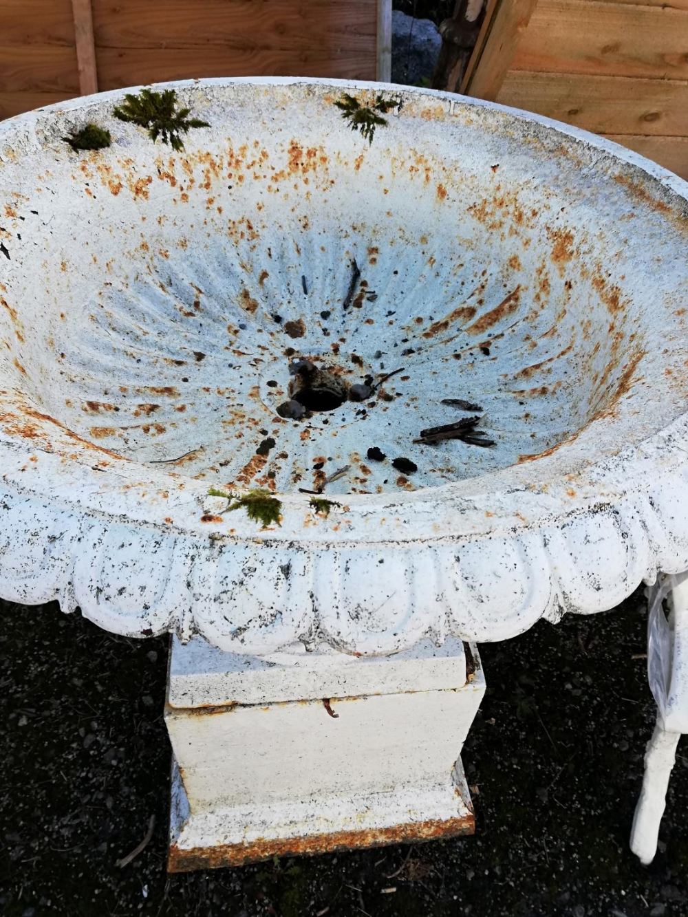 A pair of Victorian cast iron Garden Urns, with egg and dart moulded rims on circular outsplayed - Bild 7 aus 13