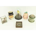 Taxidermy:  A stuffed and mounted Canary, under glass dome, two Butterflies framed, a