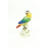 A Meissen porcelain Figure of a Parrot, perched on a tree stump, 24cms (9 1/4"). (1)