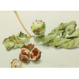 Patricia Jorgenson, Irish, (B. 1936) "Chestnuts and Leaf II," watercolour, approx. 26cms x 36cms (