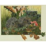 Sue Warner, 21st Century Irish School "Hedgehogs in the Overgrowth," watercolour, approx. 26cms x