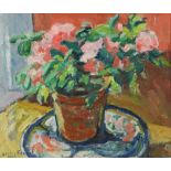 Lesley Fennell, Irish (b. 1942) "Winter Azalea," O.O.C., colourful still life with potted plant,