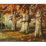 Mabel Young, Irish RHA (1889-1974) "Autumnal Forest in Wicklow," O.O.C., woodland scene with