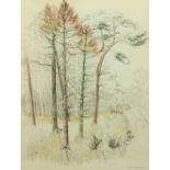 Patricia Jorgenson, Irish, (B. 1936) "Forest Remains, Annaghmakerrig," pen and wash, approx. 61cms x
