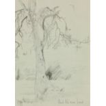 Blaise Smith, RHA (b. 1967) "Black Ash near Scart," pencil drawing, approx. 28cms x 20cms (11" x