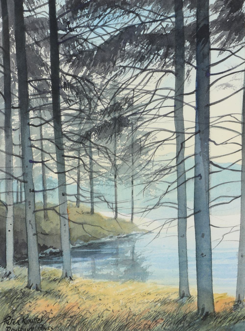 Peter Knuttel, Irish ( b. 1945) "Doulough Pines," watercolour, Forest Scene with Lake, approx. 37cms