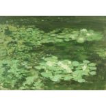 David Goldberg, Irish (b. 1945) "Lily Pond, Malahide," O.O.C., approx. 37cms x 53cms (14 1/2" x