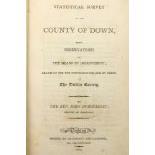 R.D.S. -  Dubourdieu (Rev. J.)  Statistical Survey of the County of Down, With Observations ... . - Image 2 of 11