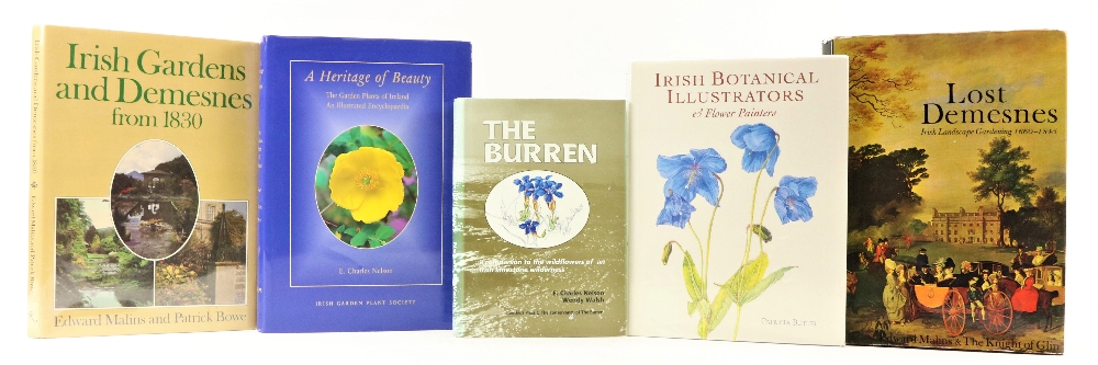 Walsh (Wendy) & Nelson (E. Chas.) The Burren, roy 8vo Boethuis Press 1991. First Edn., cold.