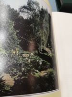 Patrons Copy Robinson (Wm.) The Wild Garden, A New Illustrated Edition. Annotated by E. Charles - Image 11 of 16