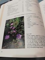 Patrons Copy Robinson (Wm.) The Wild Garden, A New Illustrated Edition. Annotated by E. Charles - Image 14 of 16