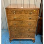 Walnut veneered chest with 5 drawers and drop brass handles, 30” w x 21”d x 43”