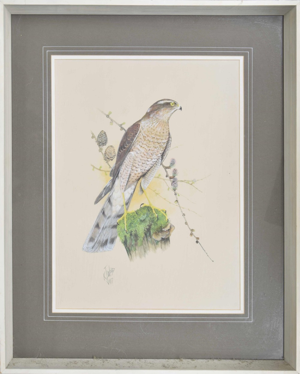 Kenneth J. Wood (20th century) - 'Female Sparrowhawk First Year Plumage', signed and dated 1977 also