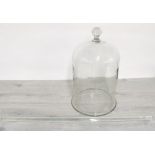 Large glass cloche, 12" diameter, 19.5" high including handle; together with a cylinder glass