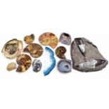 Good selection of decorative geological specimens; to include fossils, quartzlike sections,