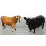 Beswick Jersey bull 'champion Dunsley Coy boy', factory marks and titled to the underside, 7"
