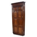 Tall 19th century mahogany standing corner cupboard, with a carved dentil cornice over a long and