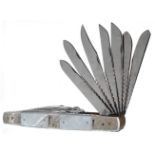 Stan Shaw exhibition/collectors 15 piece folding knife, with pearl scales, stainless steel blades