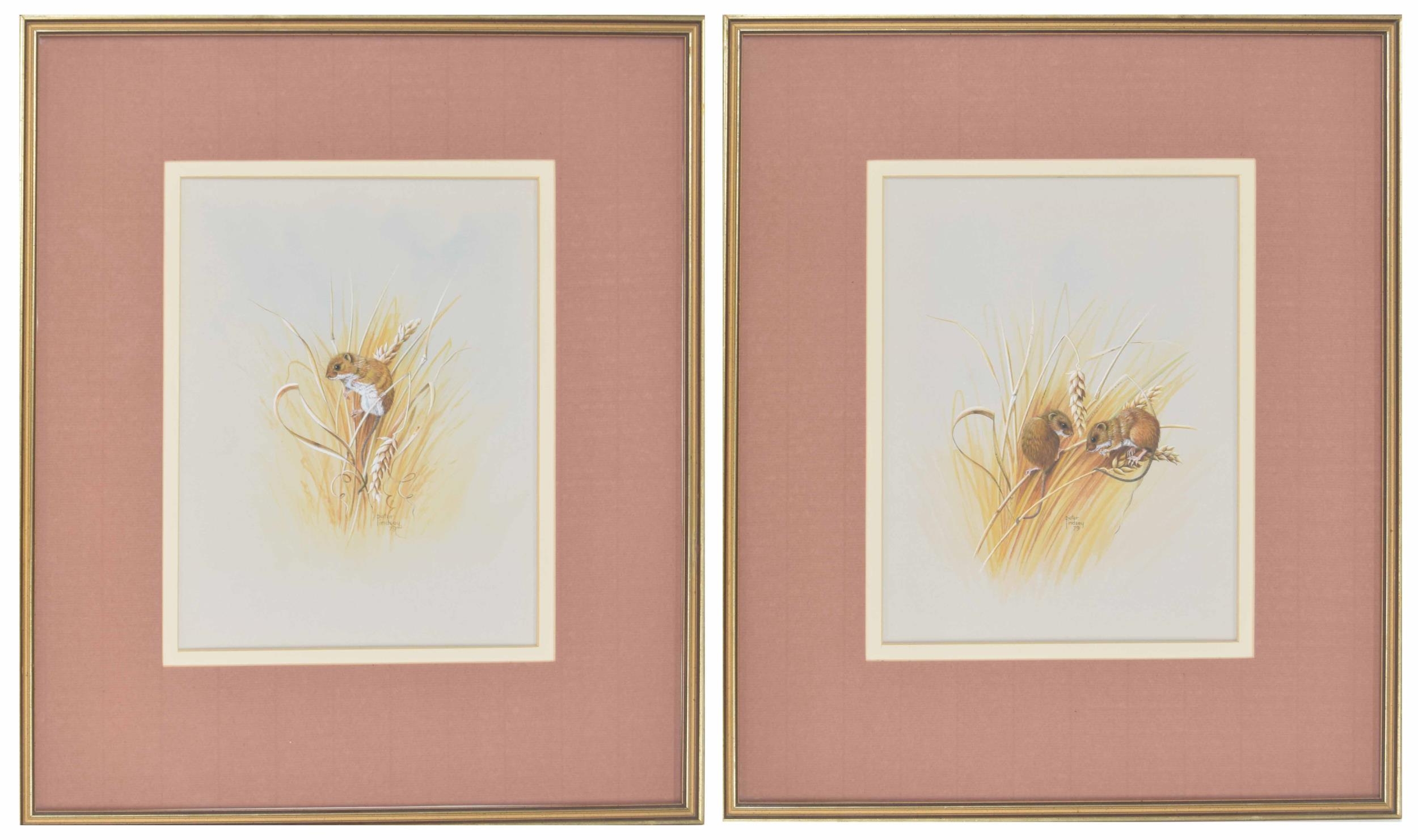 Perter Lindsey (20th/21st century) - 'Harvest Mice', 'Harvest Mouse', both signed and dated 79 (