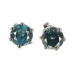 Pair of modern 14ct white gold blue diamond stud earrings, round brilliant-cut, 1.50ct approx in