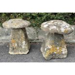 Two old weathered staddle stones, with mushroom tops, 28" high, 24" diameter top approx