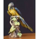 Guido Cacciapuoti (Italian 20th century) Large decorative porcelain parrot figure, modelled on a