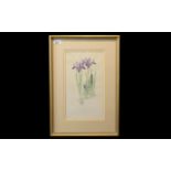 Mary Bates Botanical Watercolour of Iris