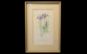 Mary Bates Botanical Watercolour of Iris Reticulata, framed and mounted behind glass, in a gilt