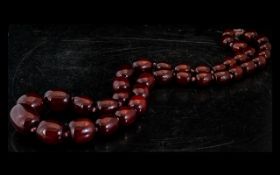 A Faux Cherry Amber Graduated Bead Necklace - Length 40 Inches.