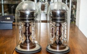 A Pair of Victorian Ruby Glass Lustres, with glass prisms, gilt highlights, housed under glass domes