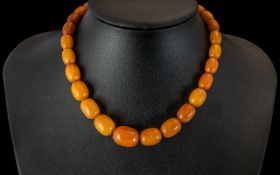 Superb - Early 20th Century Butterscotch Amber Beaded Necklace with Gold Tone Clasp.