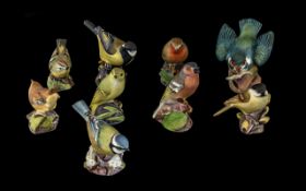 Collection of Royal Worcester Bird Figures, comprising 'Kingfisher', 'Great Tit', 'Wood Warbler',